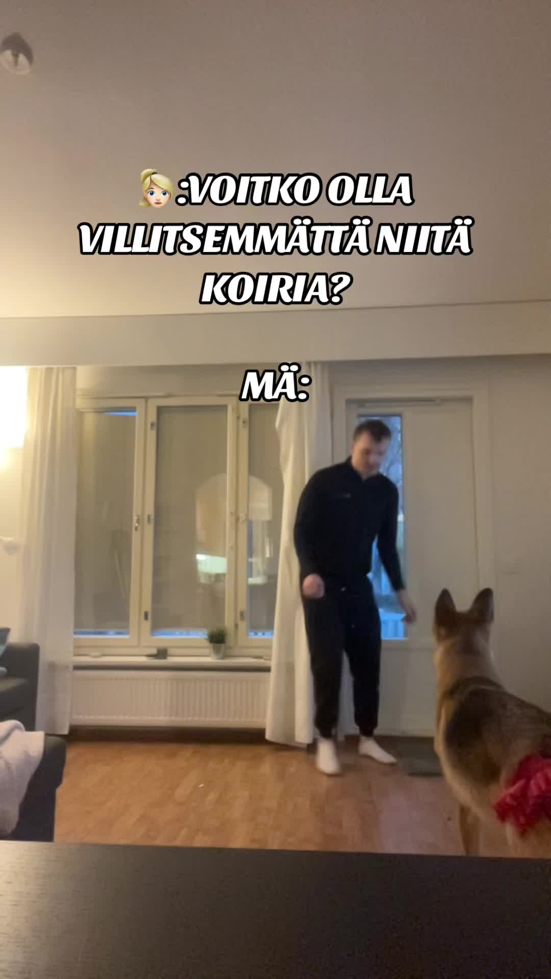 @alexravantti