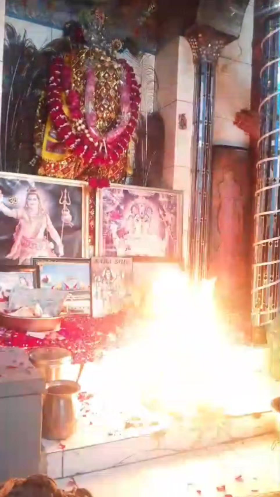 @komal_lalwani1