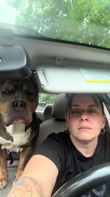 @hairstylingdoglady