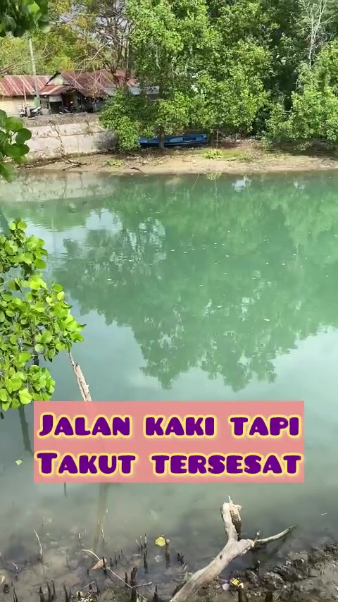 @Hestia