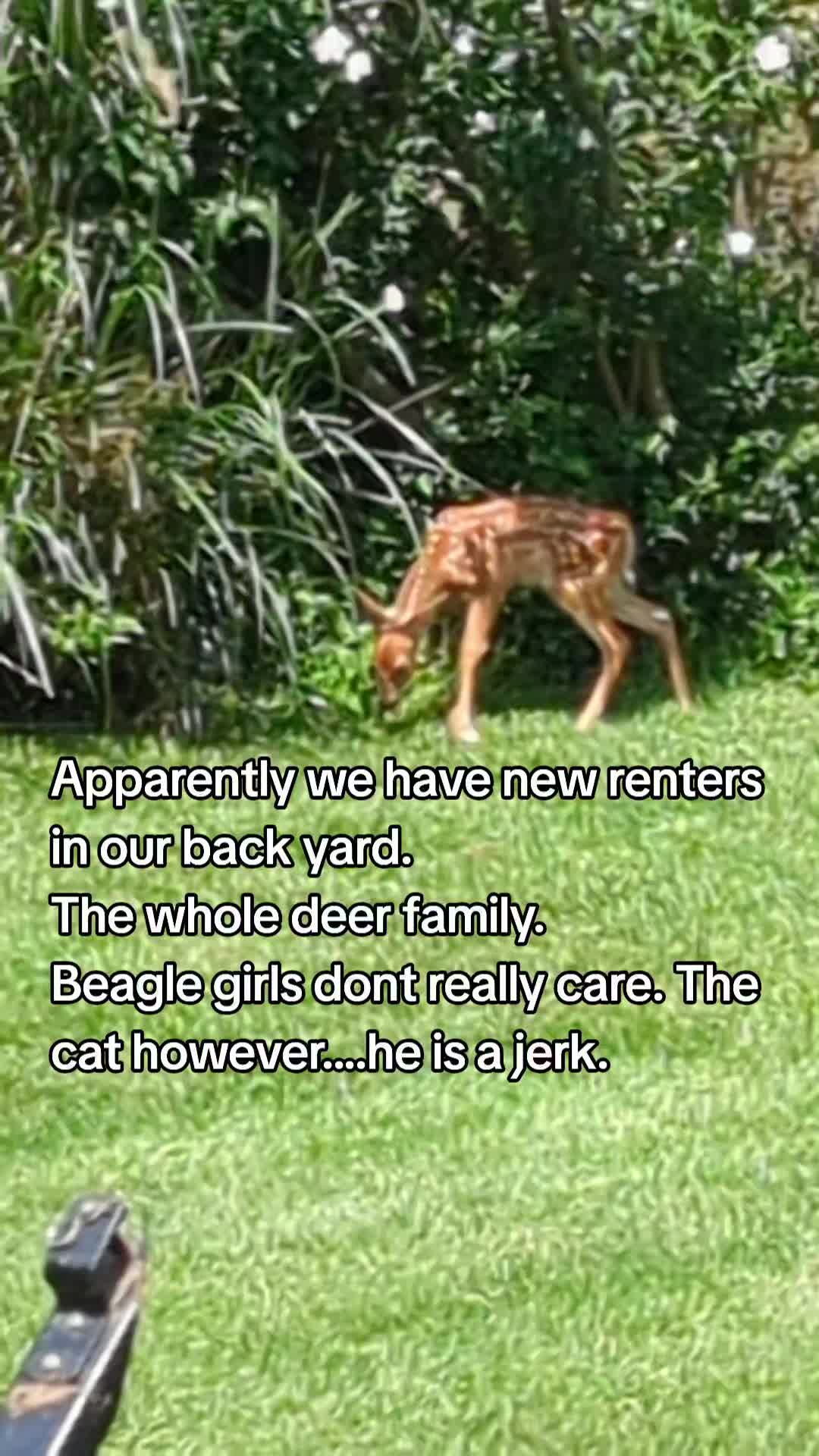 @Rob