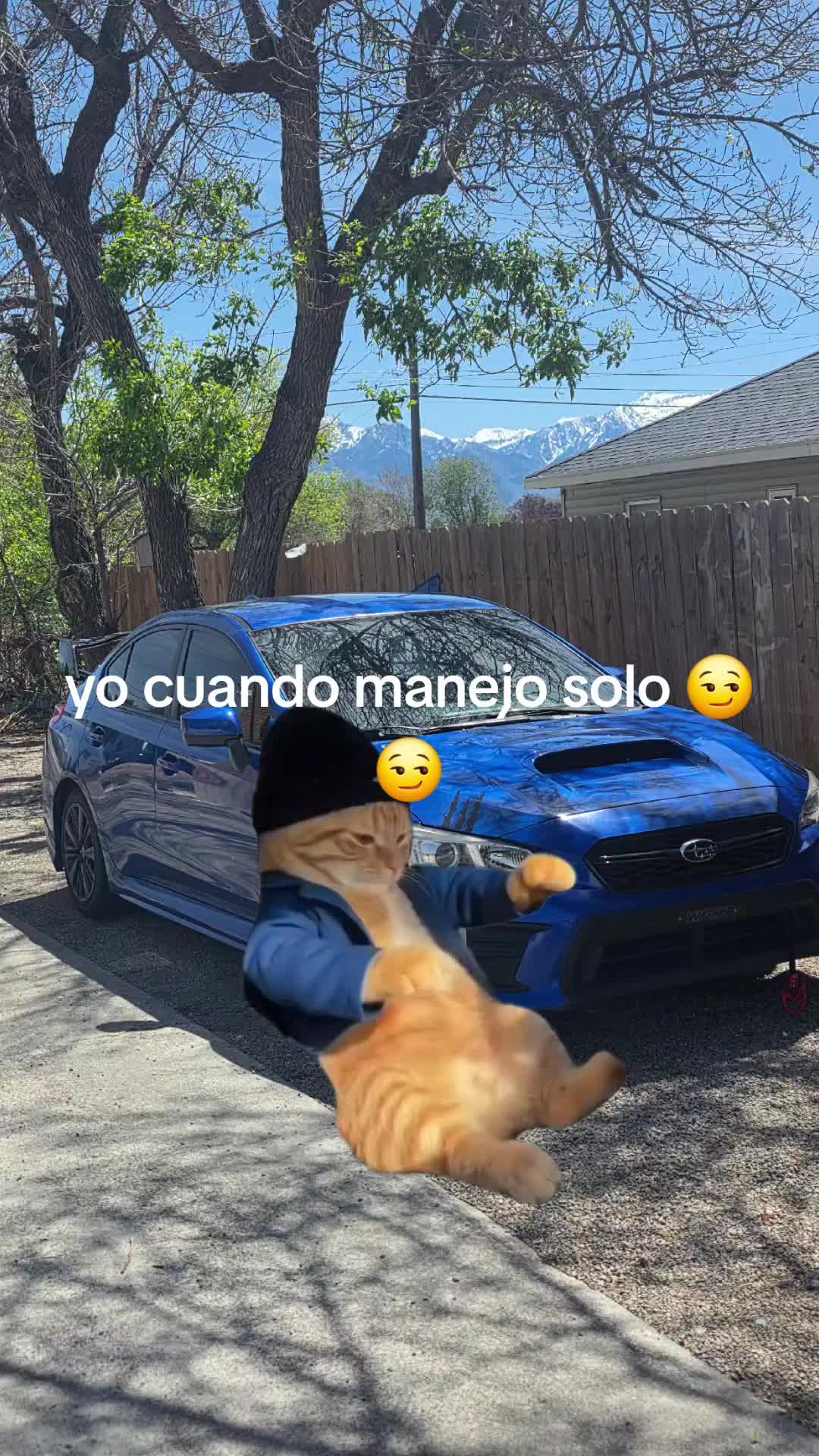 @Ernesto