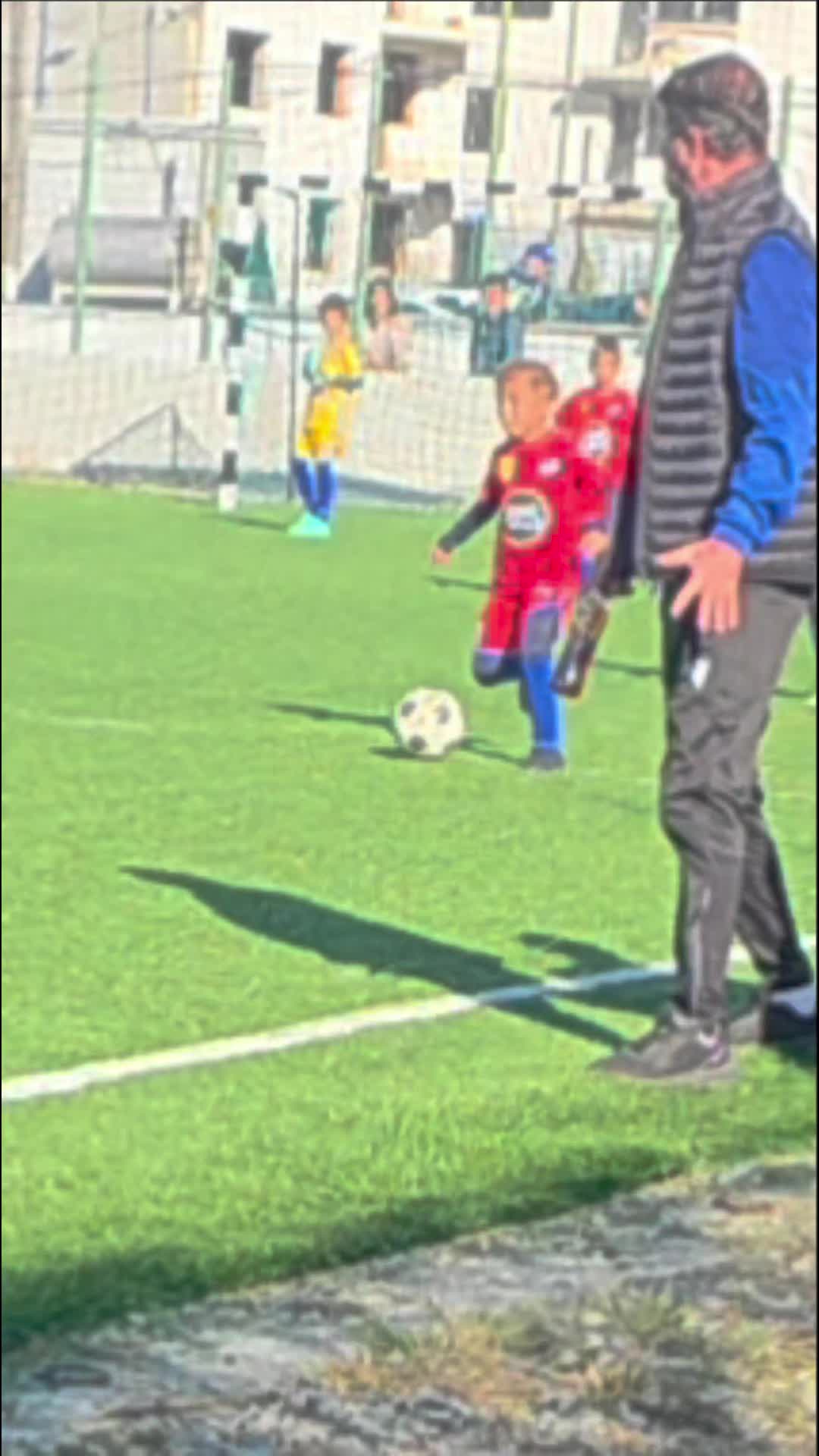 @Zian Leuţul Sudului
