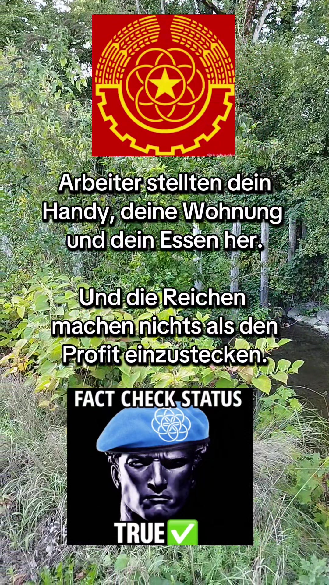 @Die Linke Lindau