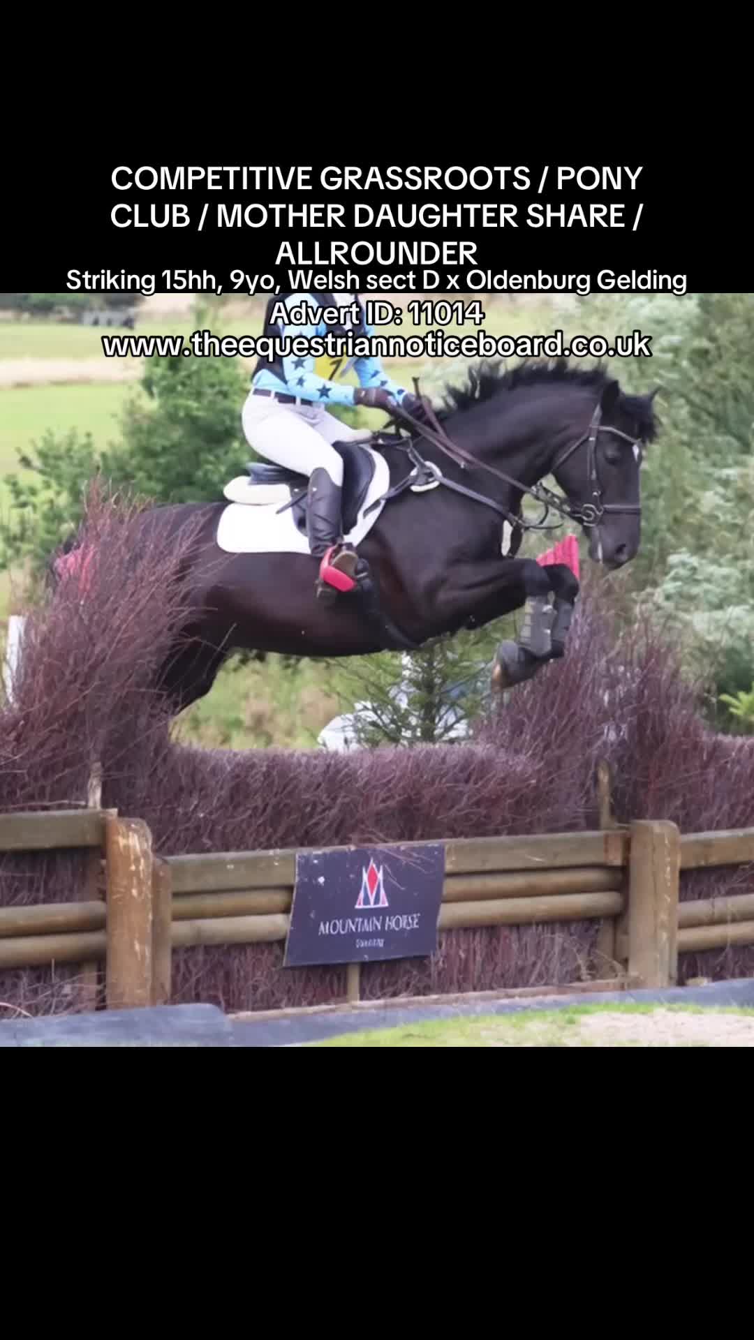 @theequestriannoticeboard