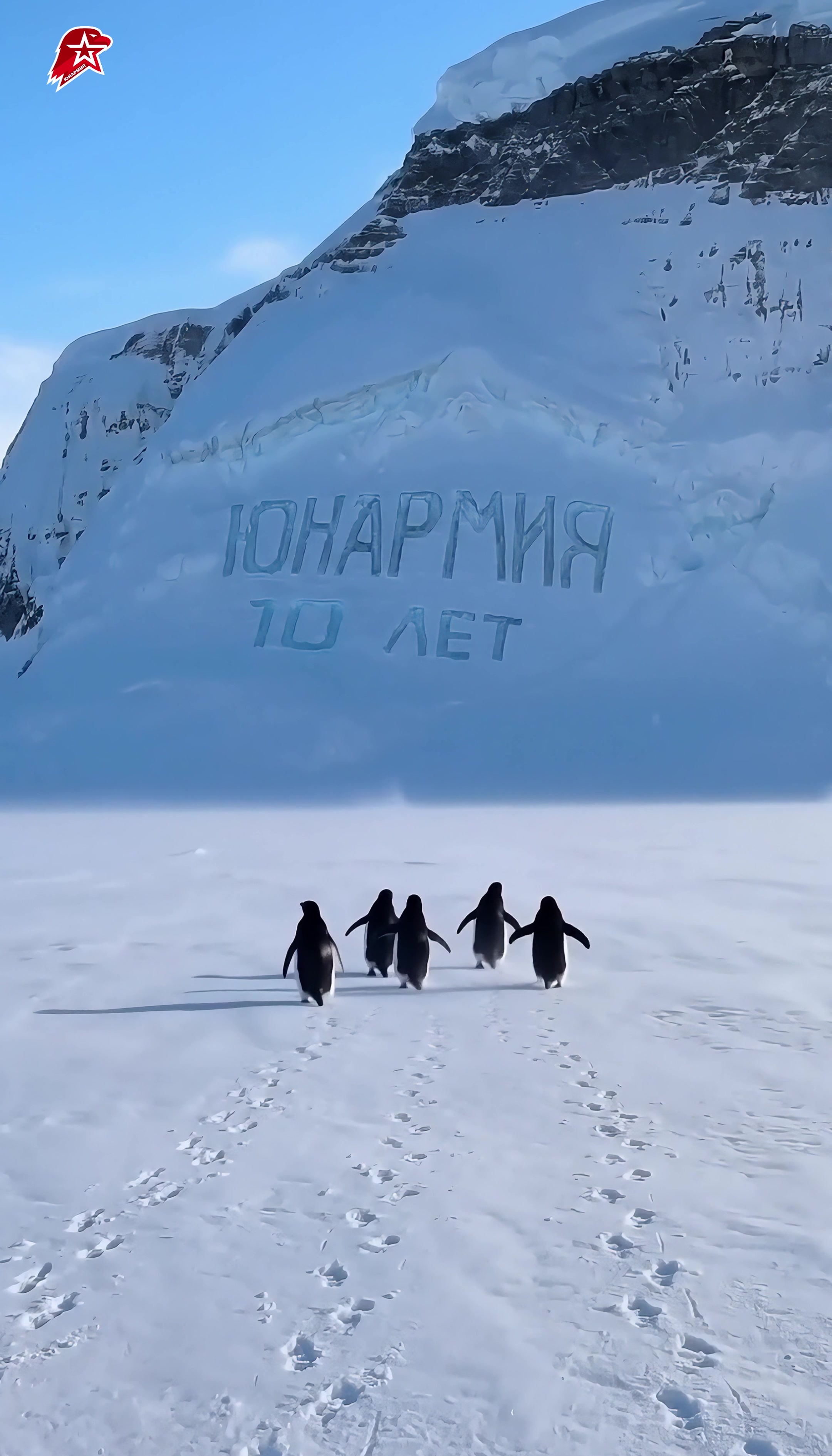 @Юнармия