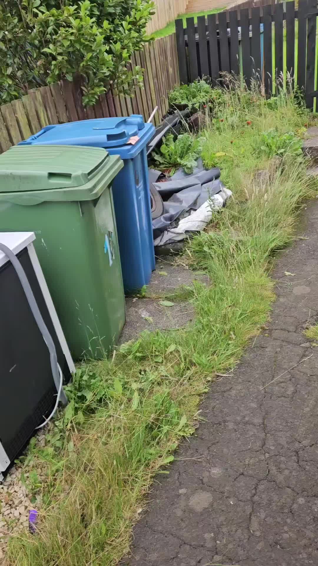 @Glasgow_Tree_Care