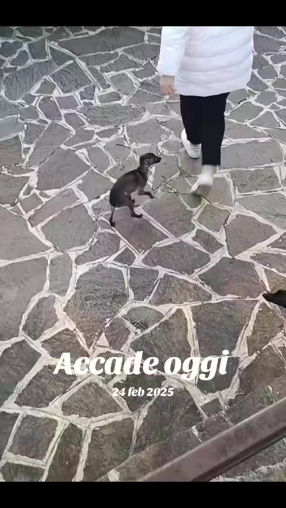 @Elisa Esposito