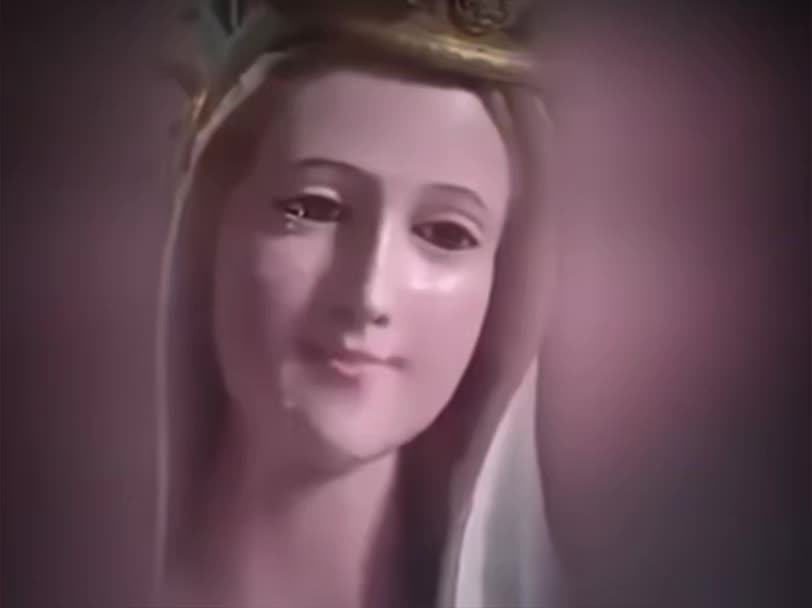 @Vladimir Koky 🇻🇦🏴✝️🏳🇻🇦🕊