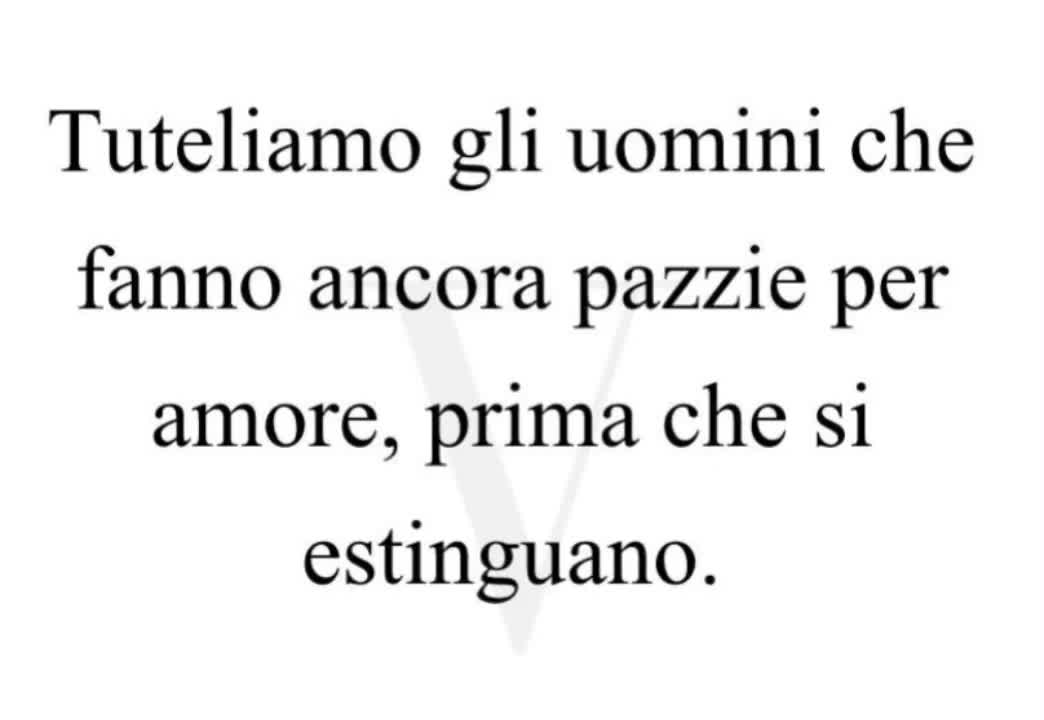 @brunopizzarelli2455
