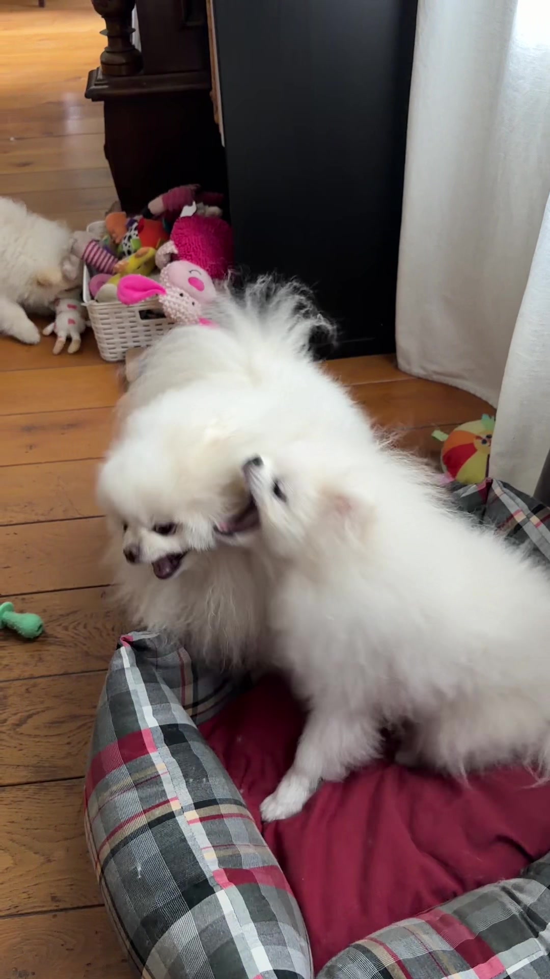 @Ricky,Max&Leo
