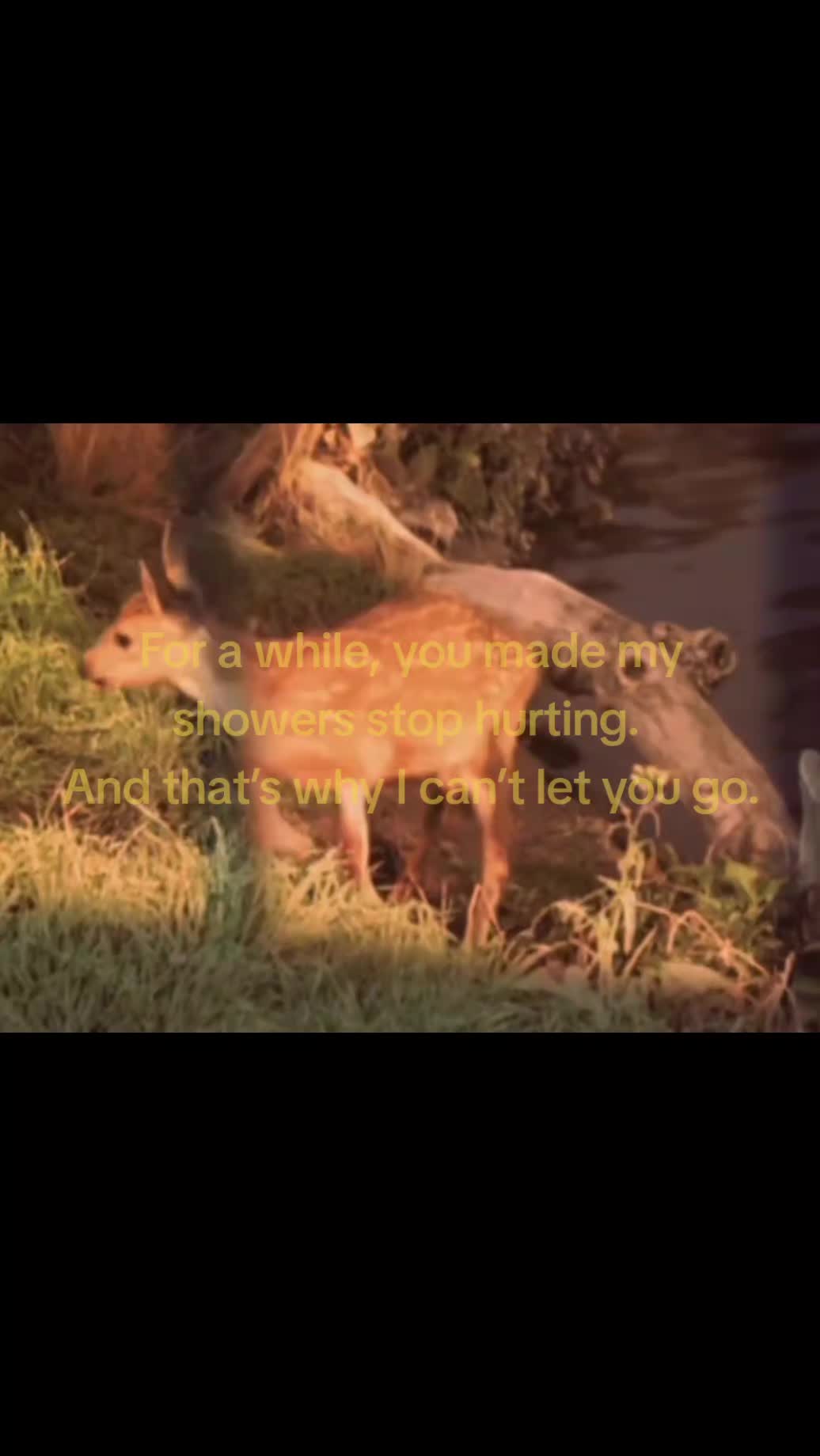 @unknown