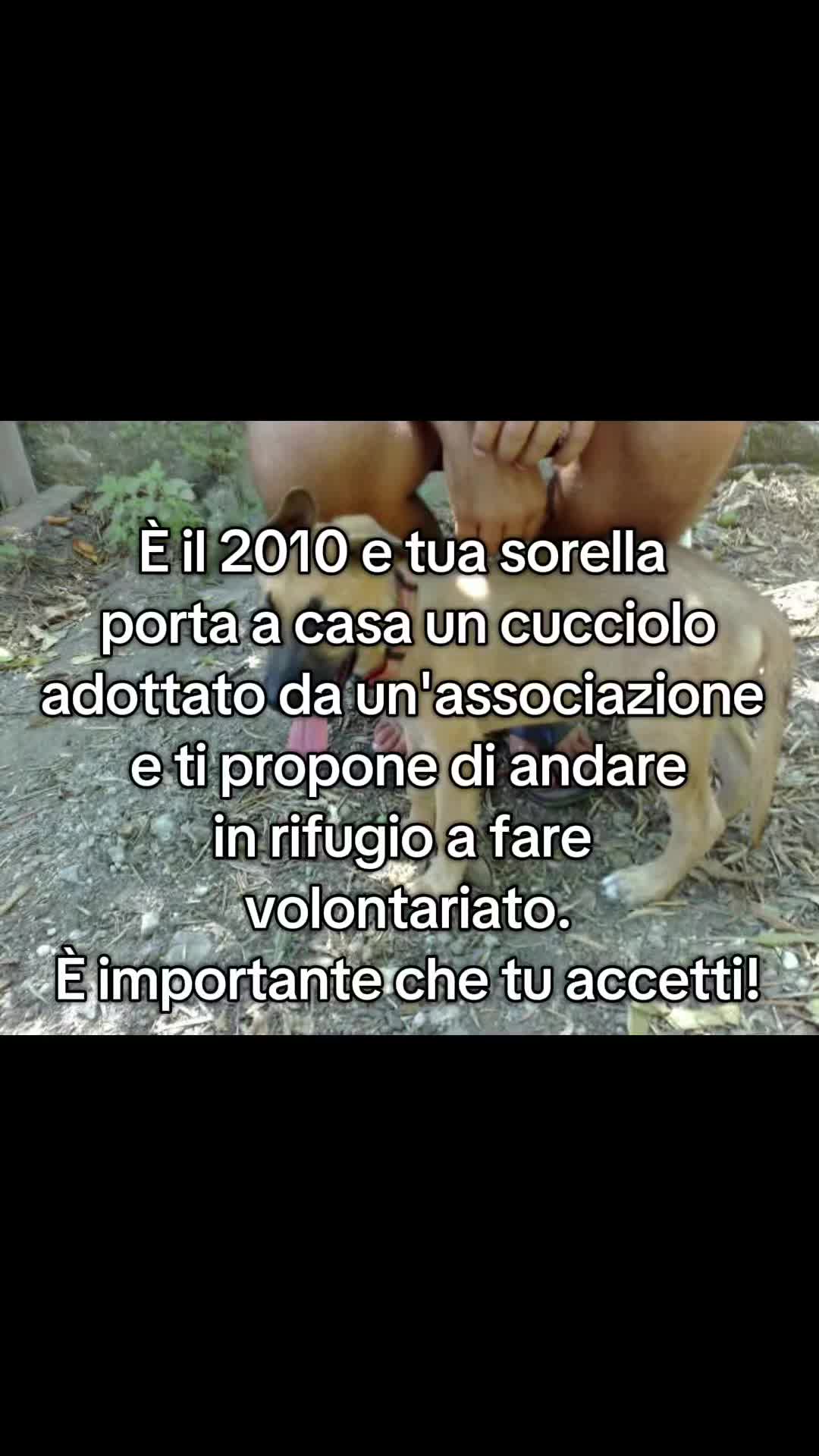 @Lara Musarra