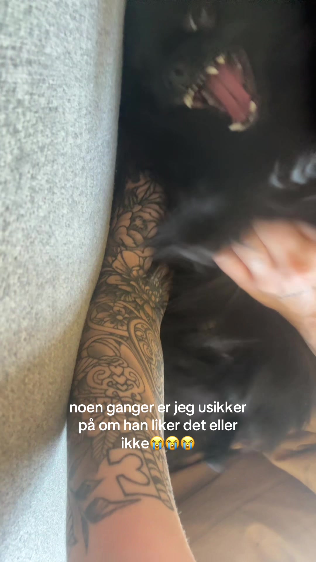 @Emilie Marlen