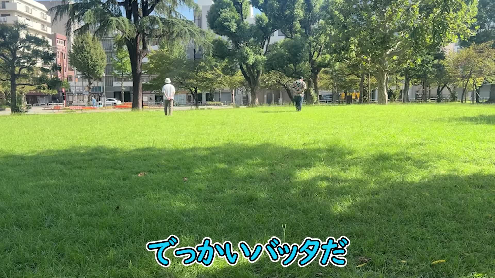@三崎優太 MISAKI のファン
