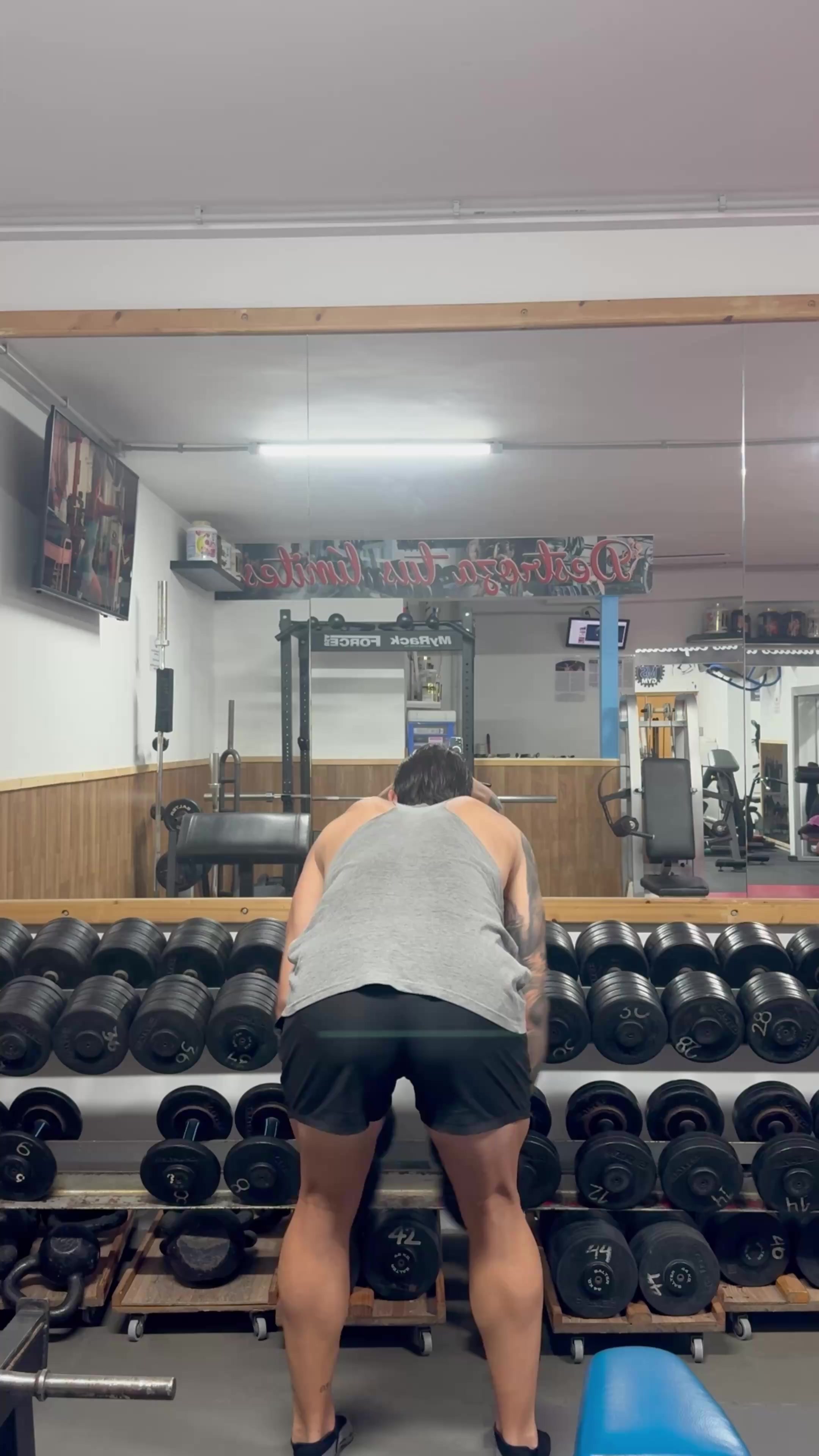 @MSGYM
