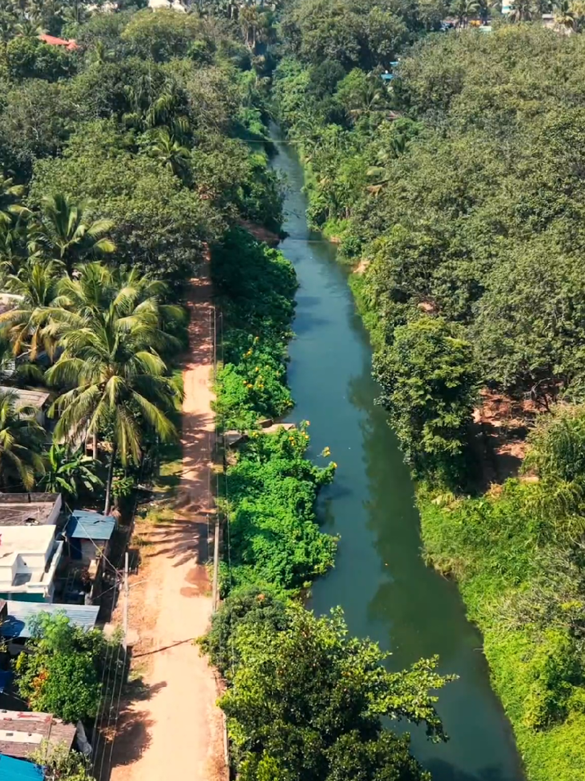 @Nature Lover