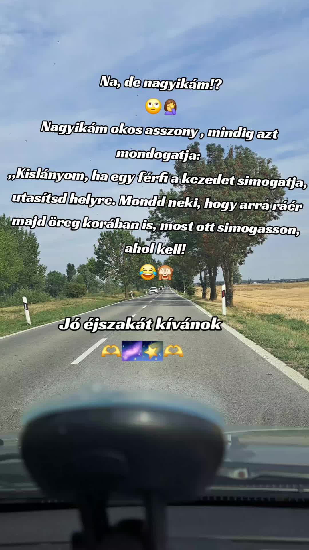 @👑Picisárika👑