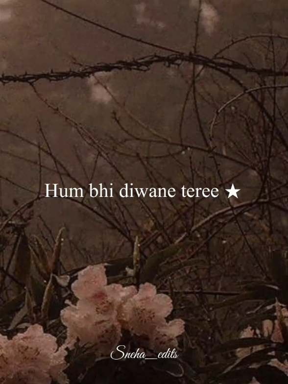 @𝓢𝓷𝓮𝓱𝓪_🥀