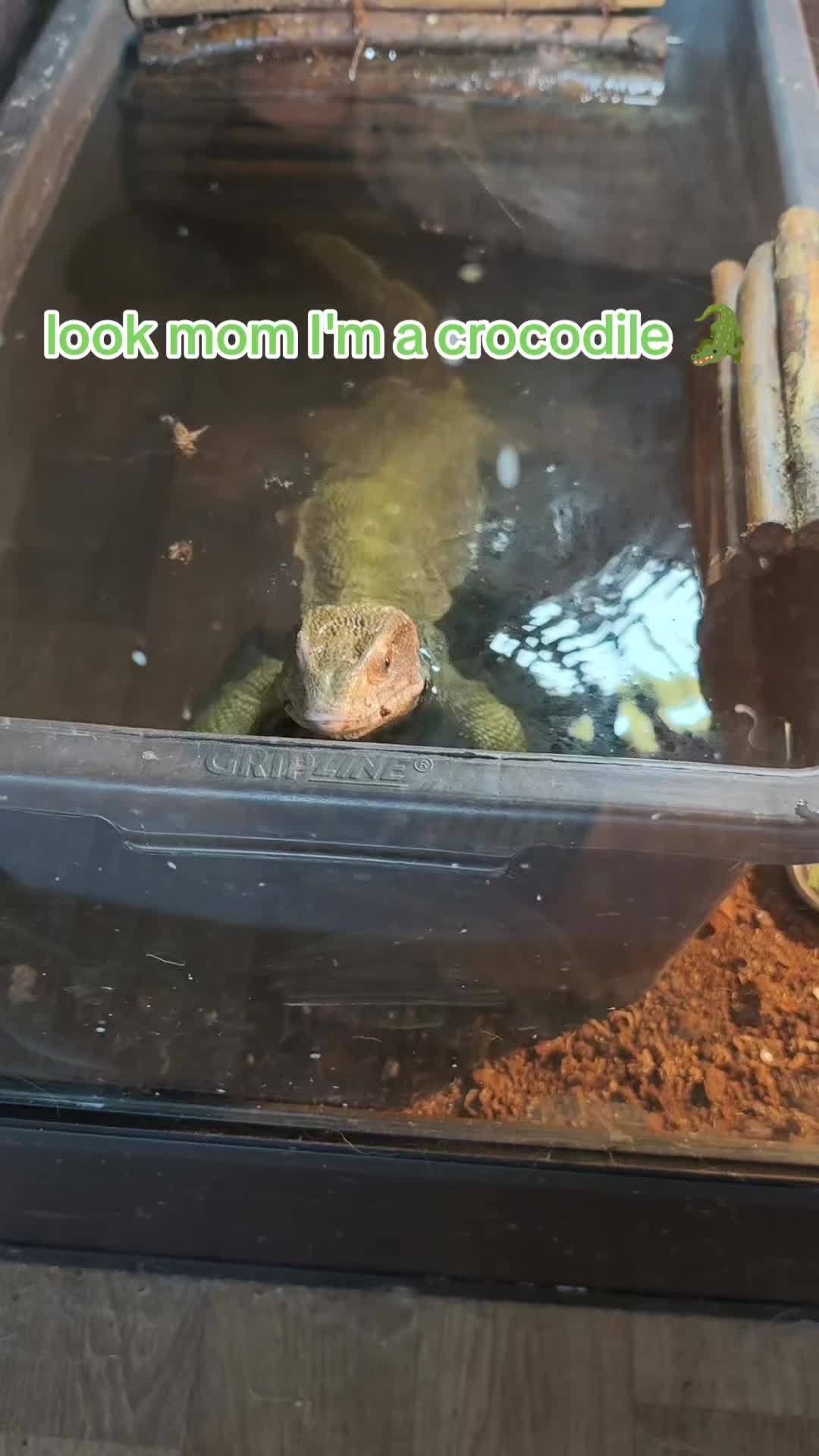 @Bestiesbeasties