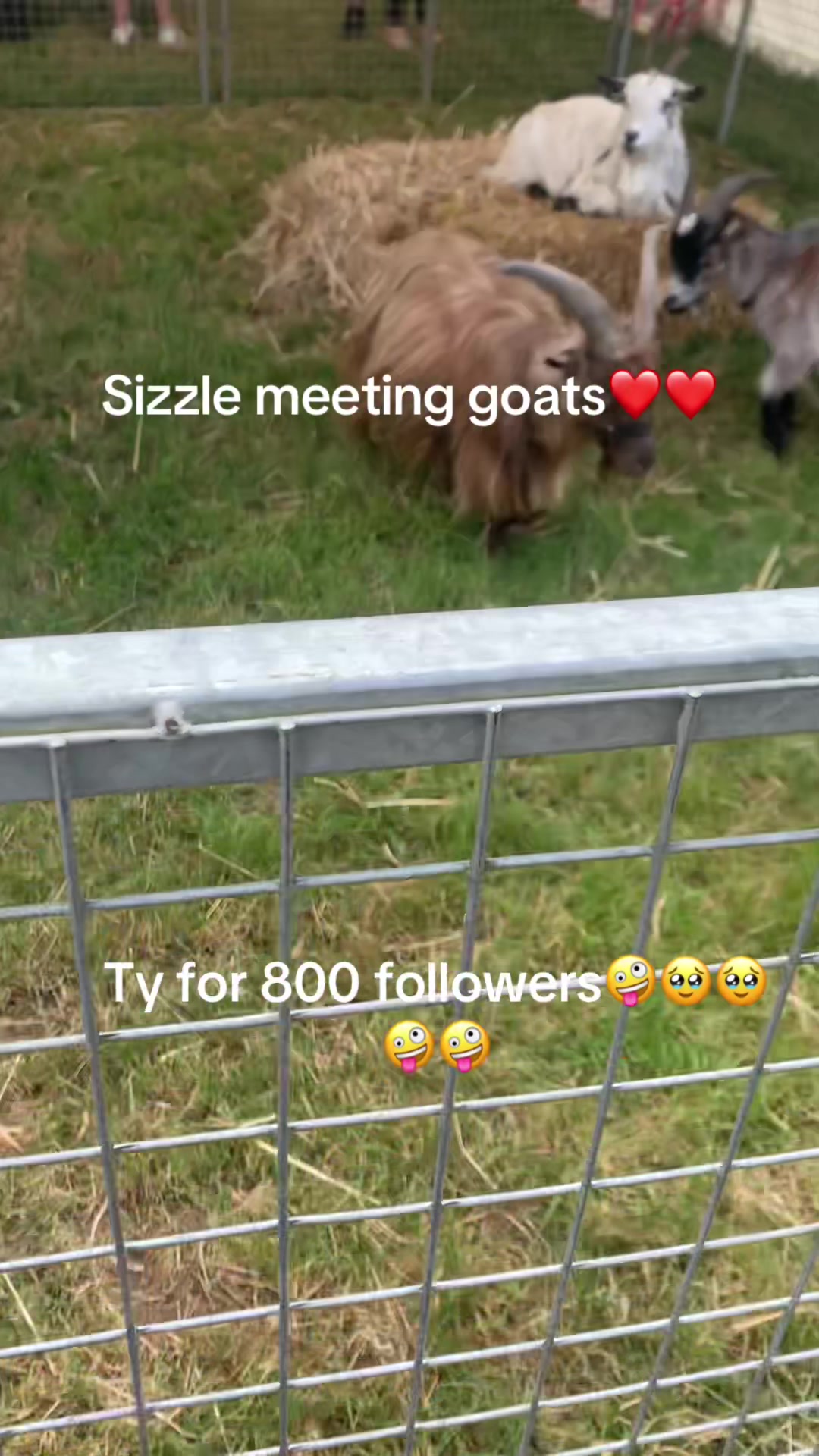 @Stan Zer0