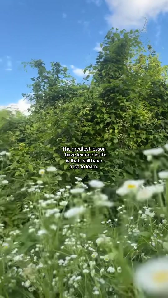 @z