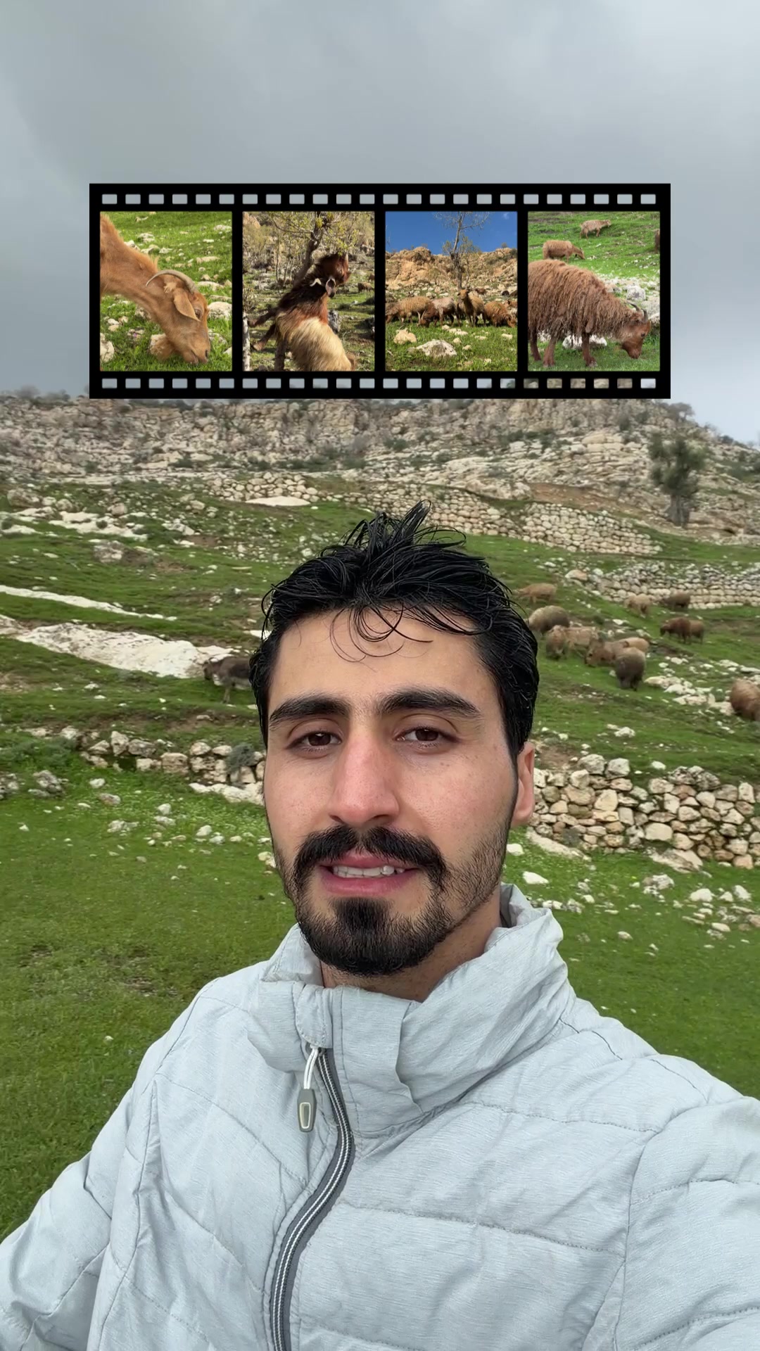 @Rayan Mahmood - ریان محمود