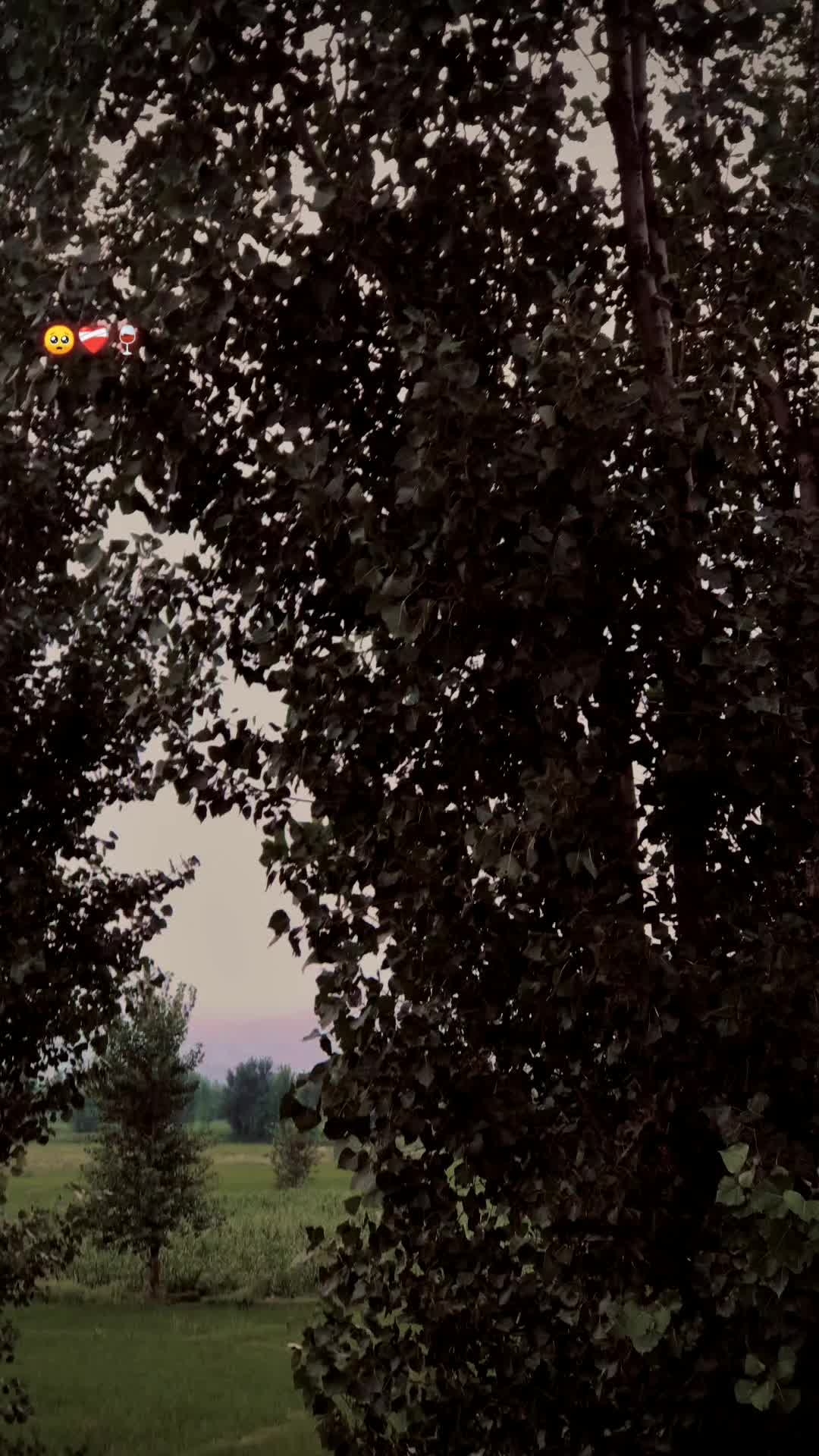 @🚩 𝑳 𝑨 𝑫 𝑳 𝑨 🚩