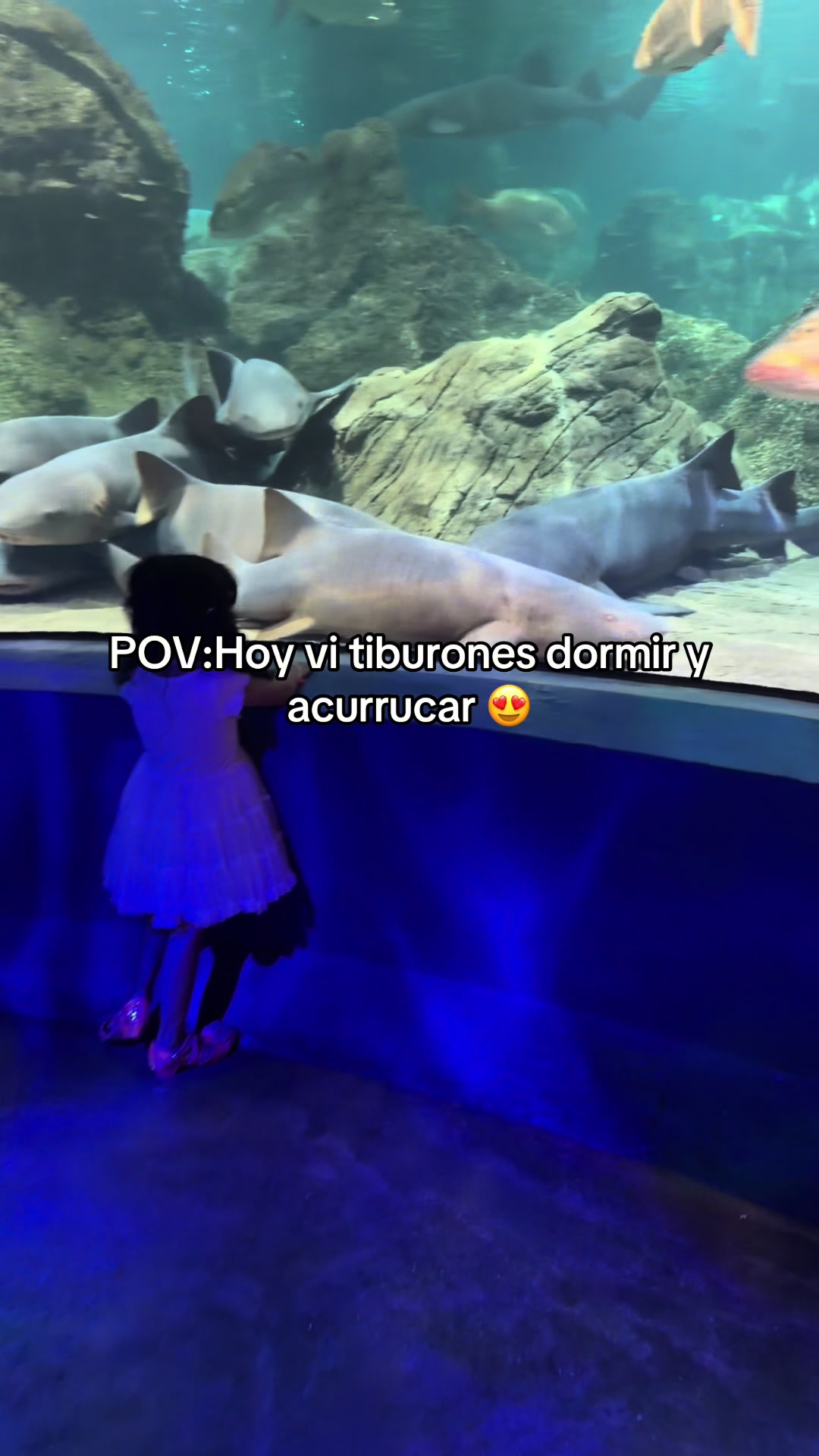 @PitaRomano