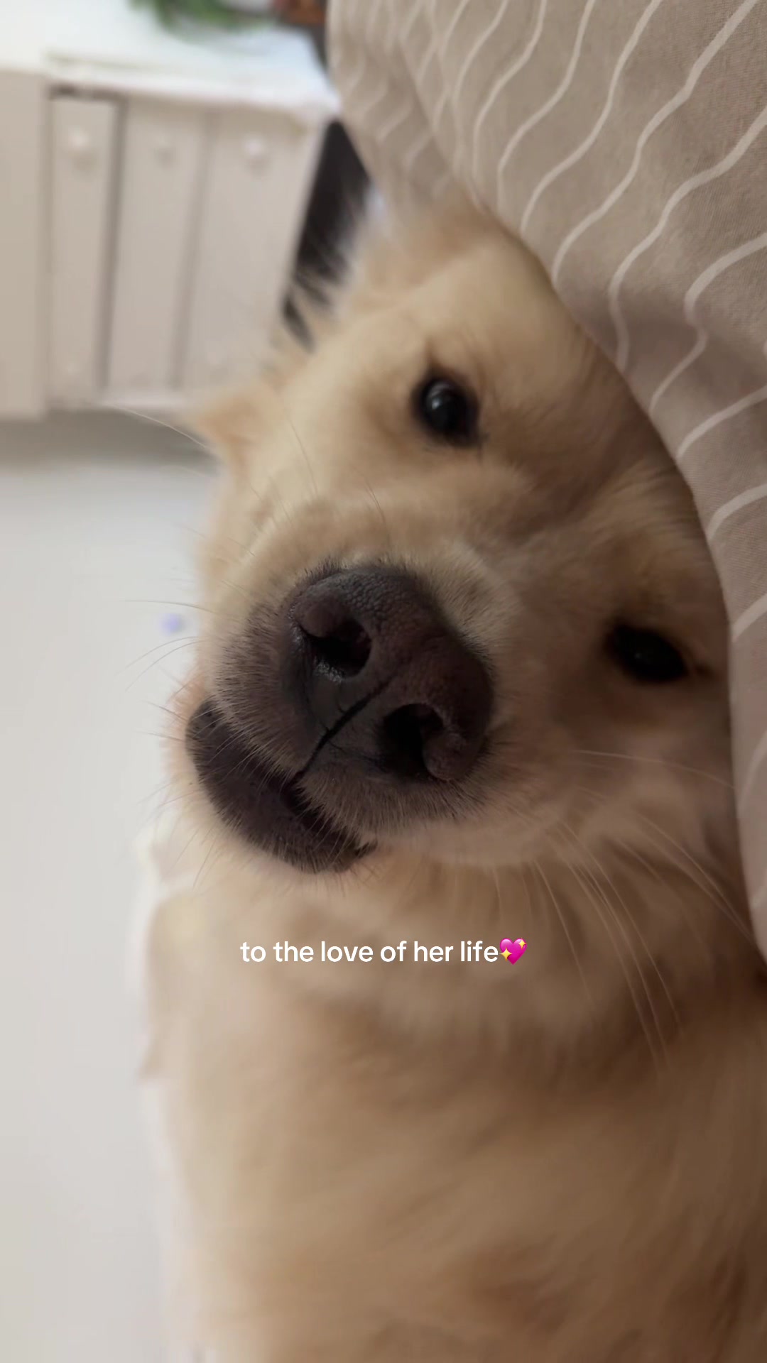 @Gemma🌷