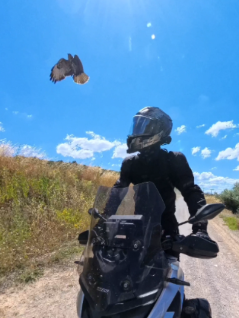 @explorerGRiders
