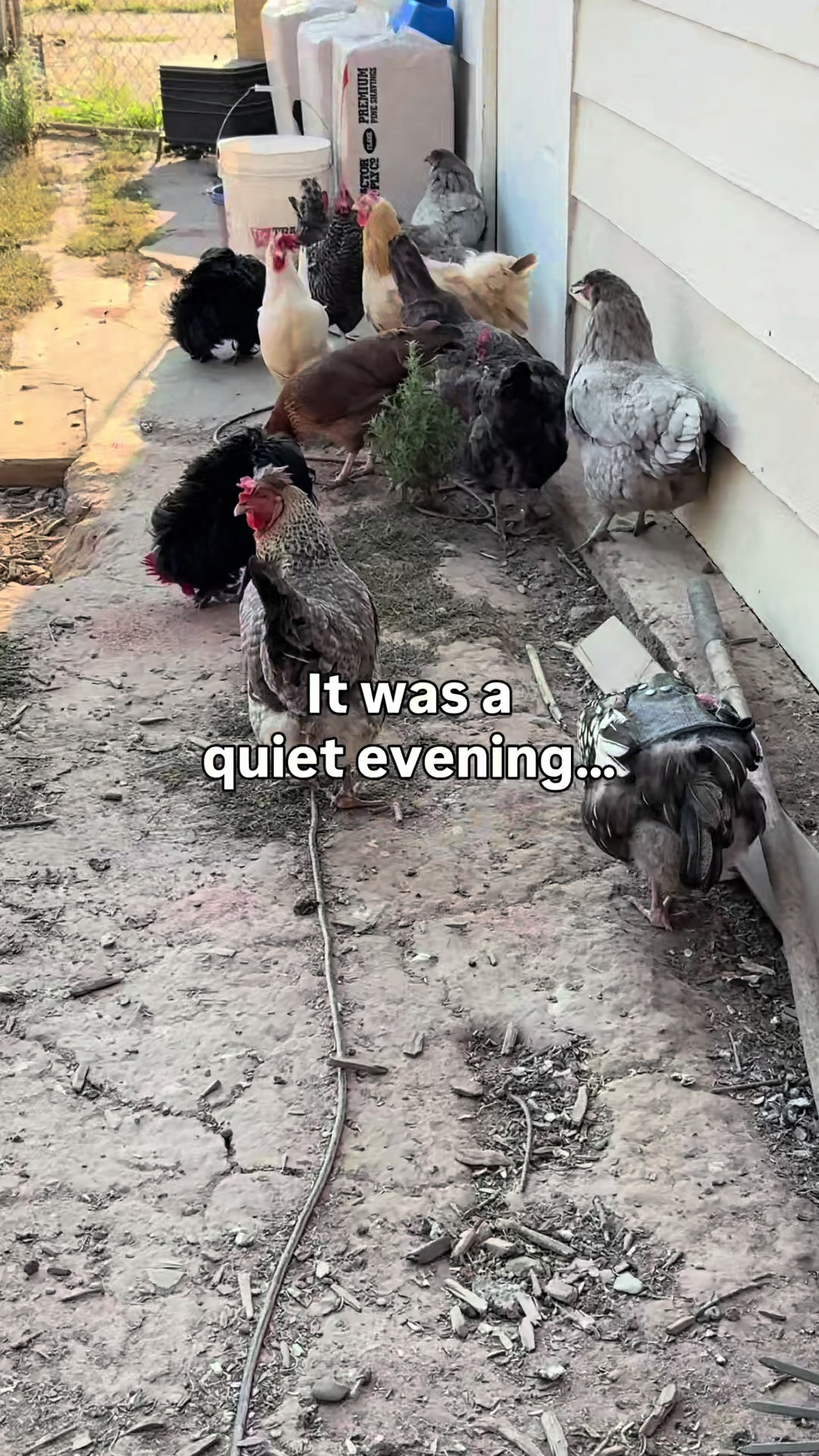 @The Real Estate Chick