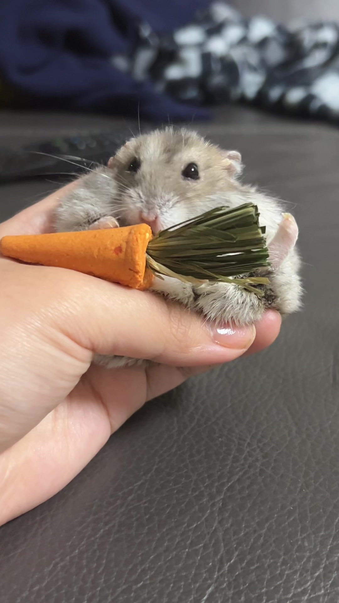 @𝒆𝒍𝒍𝒂✨