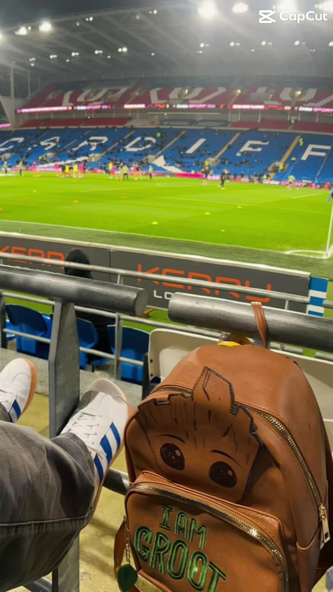 @furbz_bluebirds8610