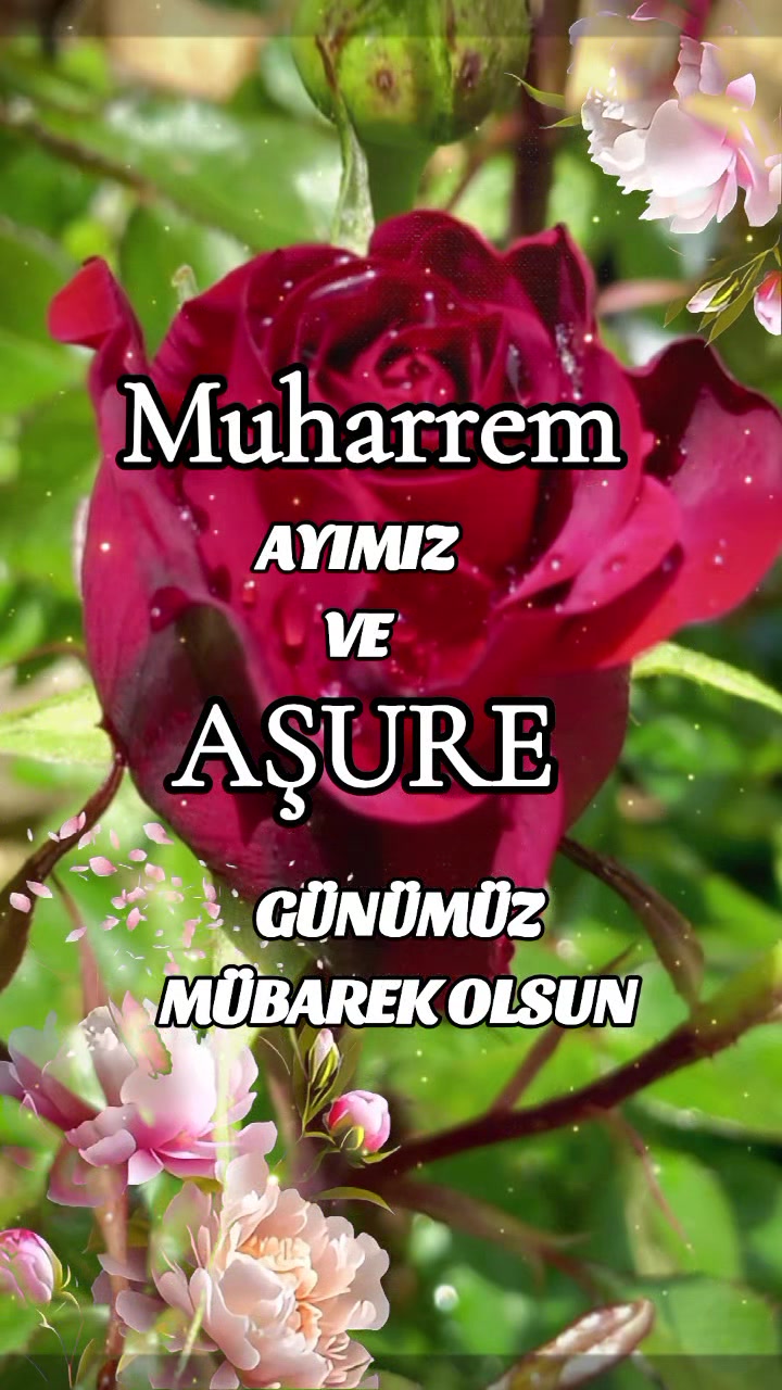 @ümüt dünyası