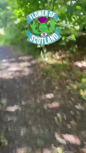 @eastendbhoy