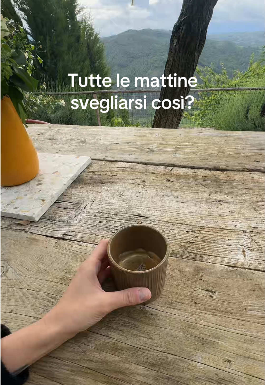 @momusso