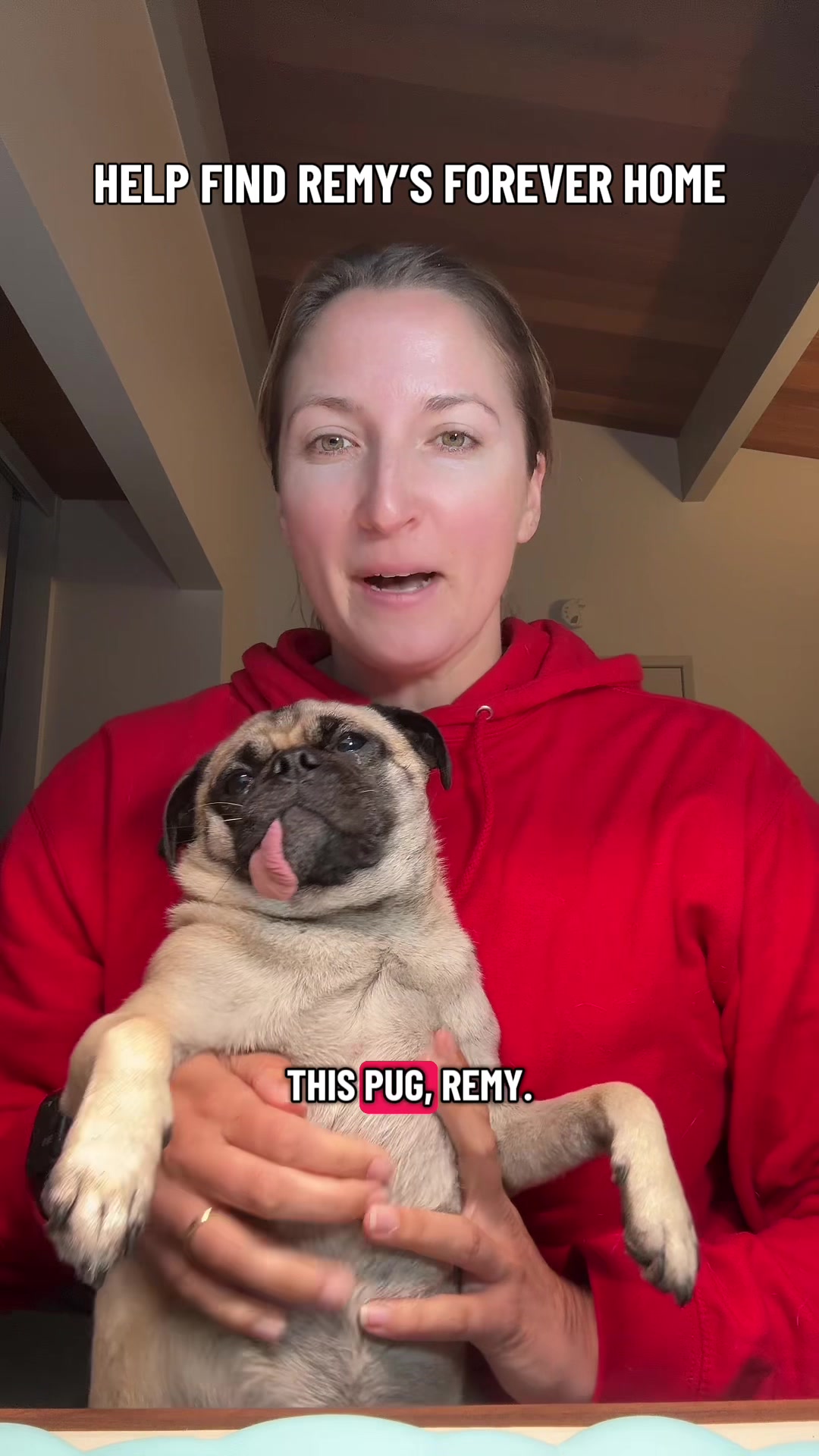 @caseysonthecase