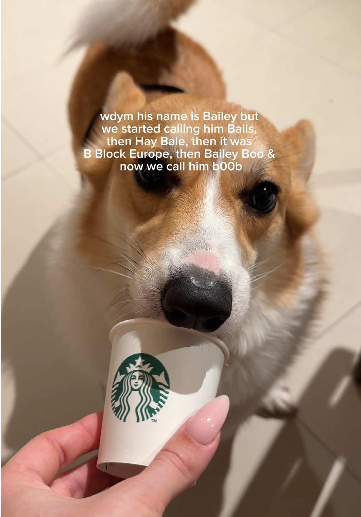 @megan⭐️
