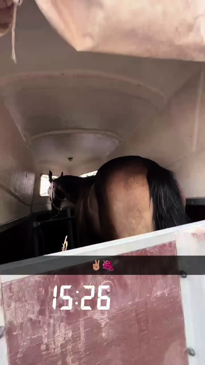 @✨laraorsos✨