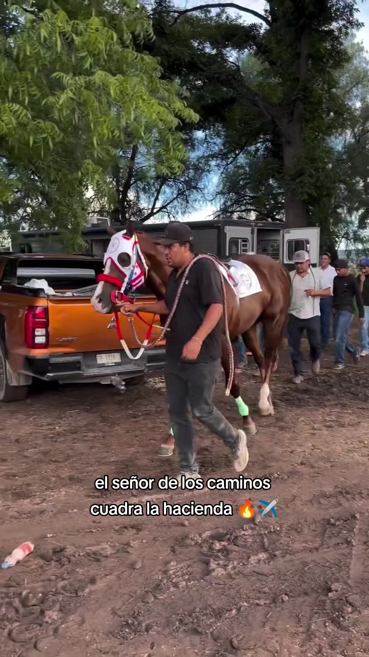 @carriles altos de jalisco🐎