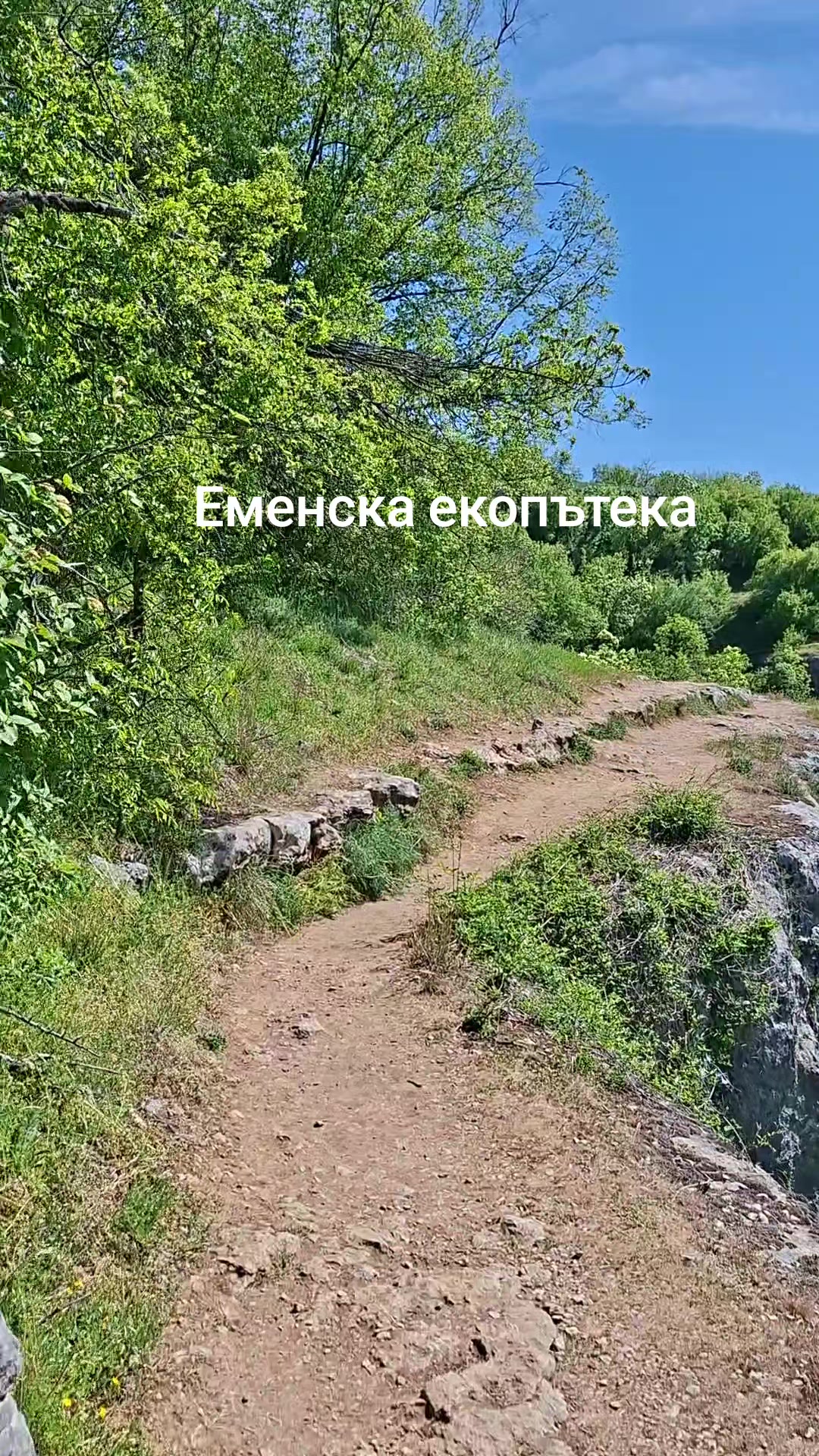 @Nedelin Bozhinov