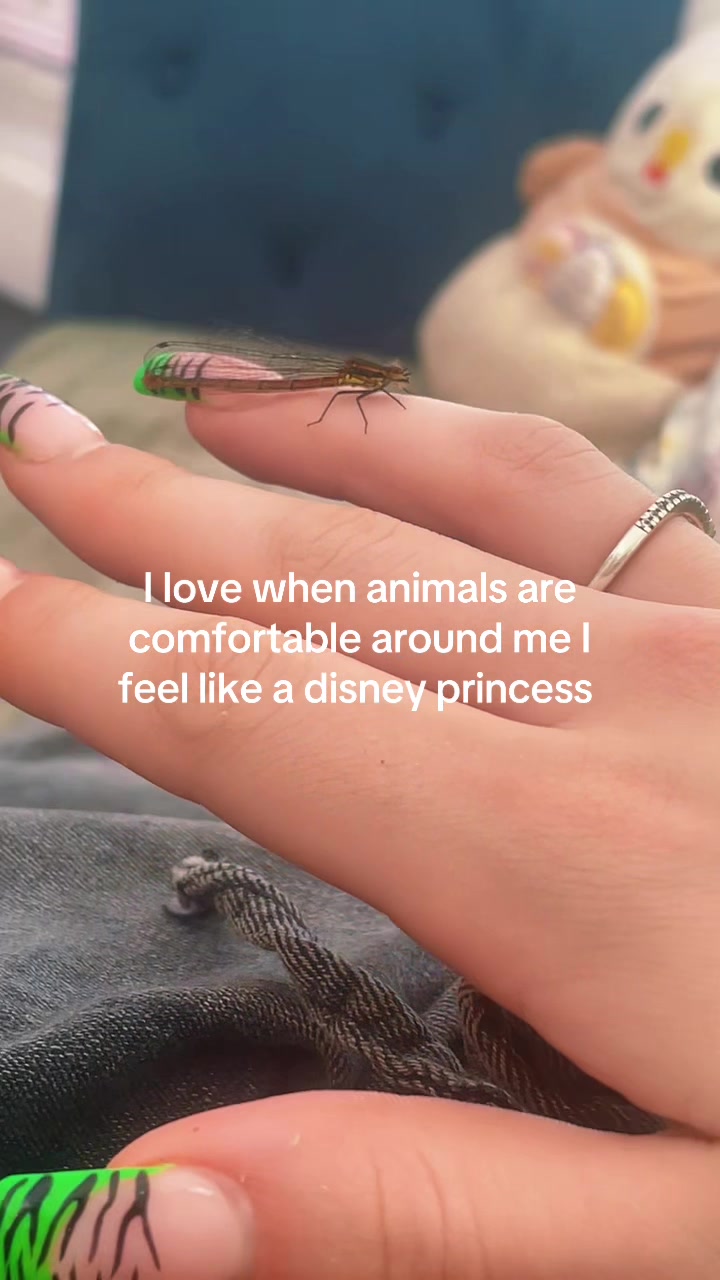 @𝓜🤍