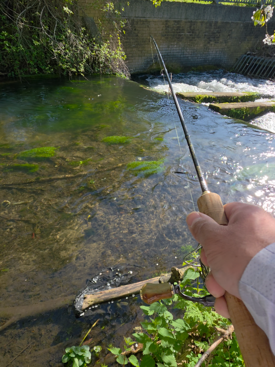 @BF Angler