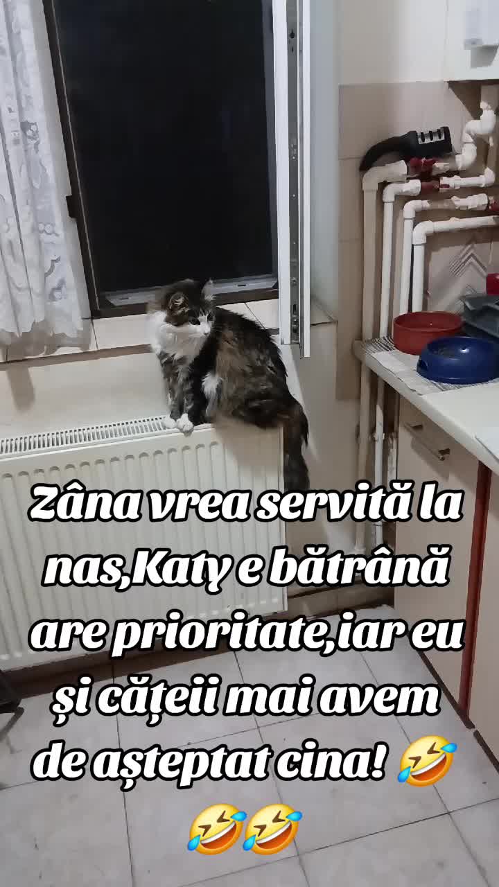 @Catalin Postolache