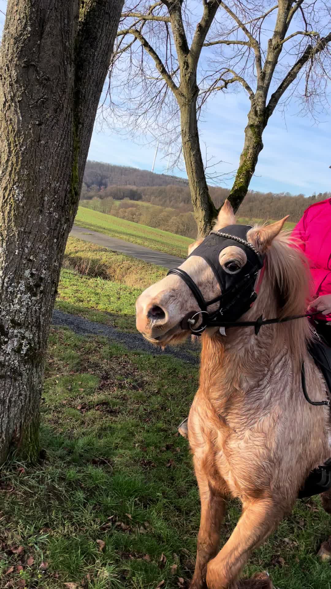@Albingerhof