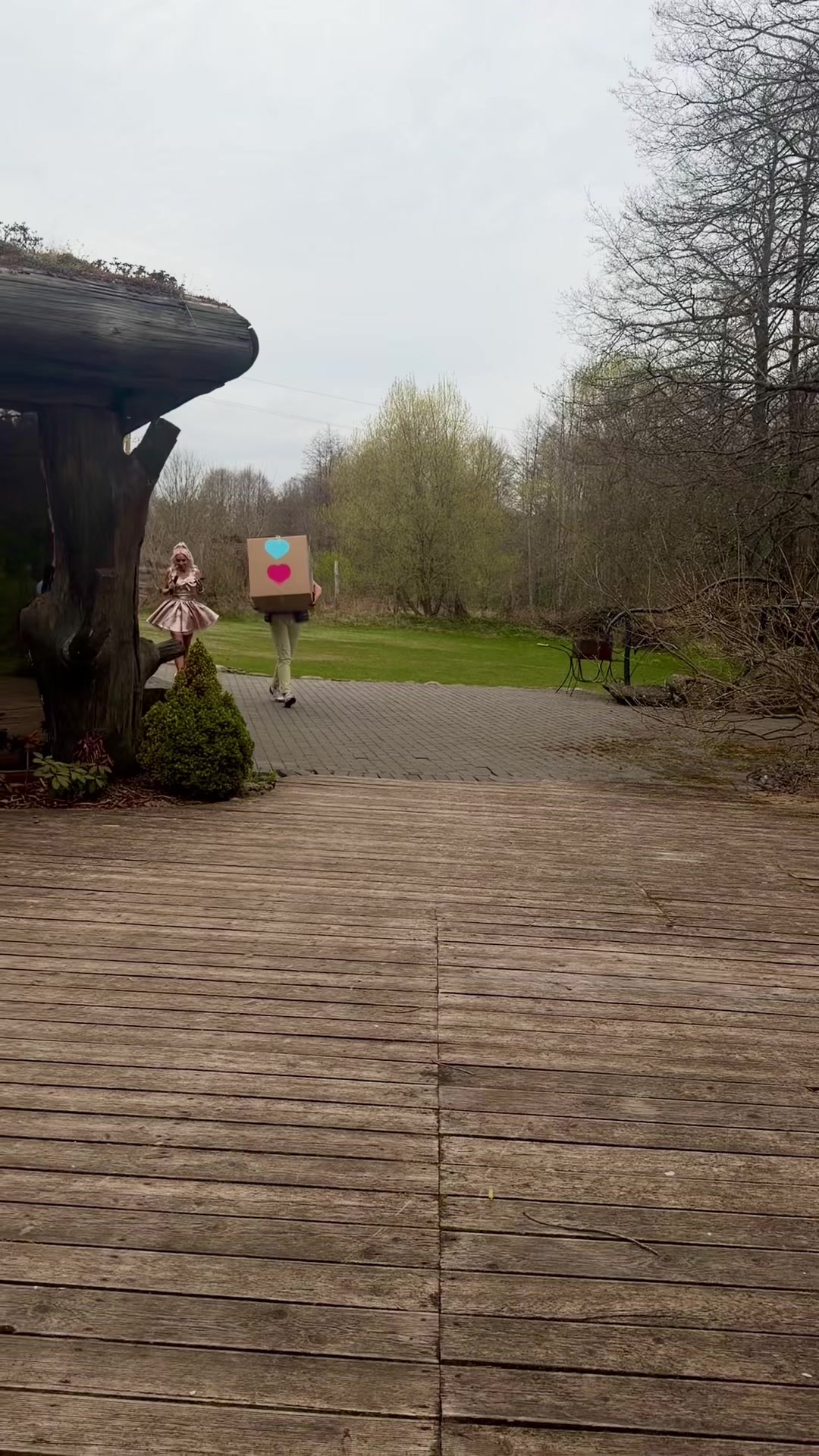@кот бумер