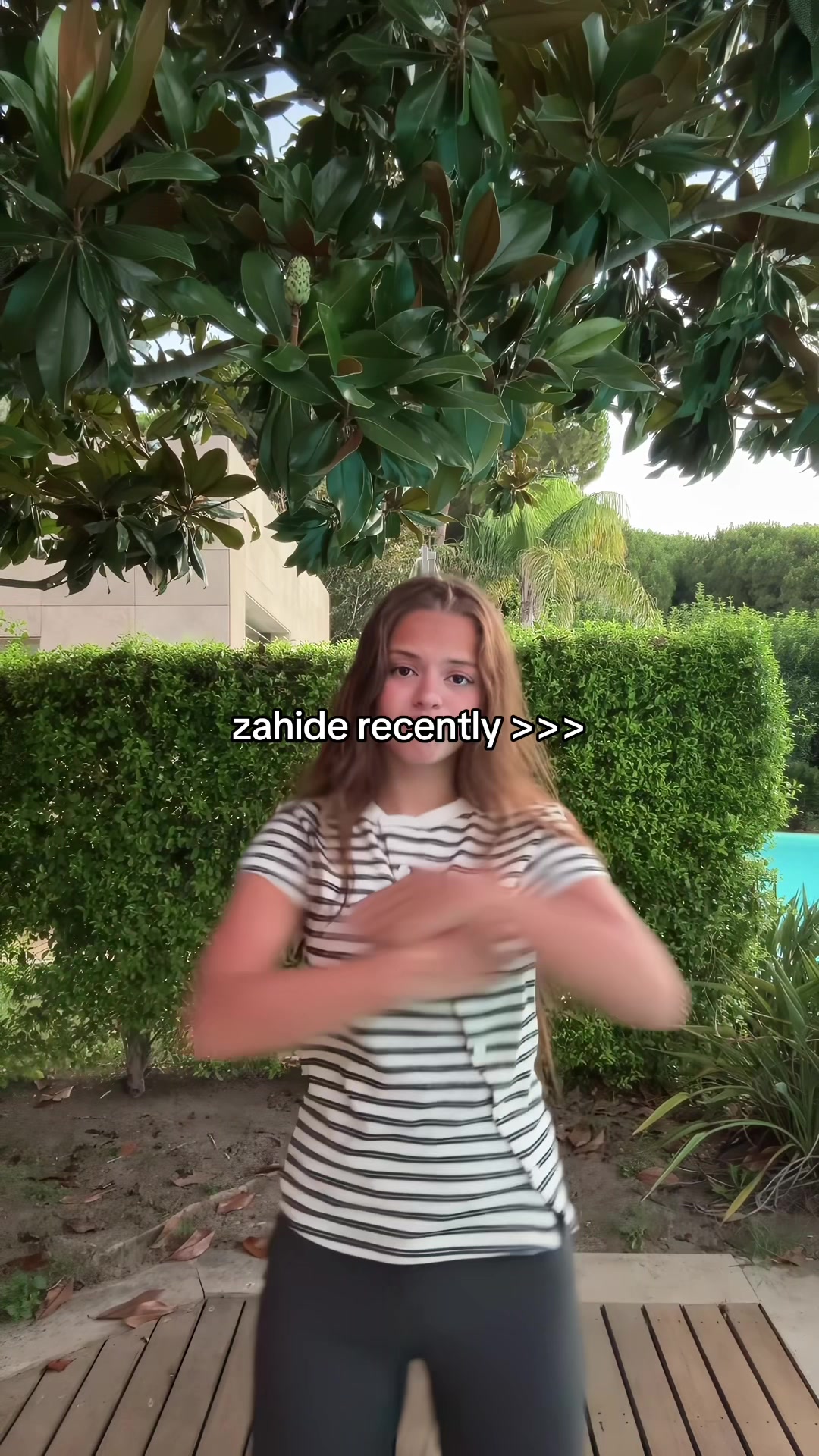 @ari