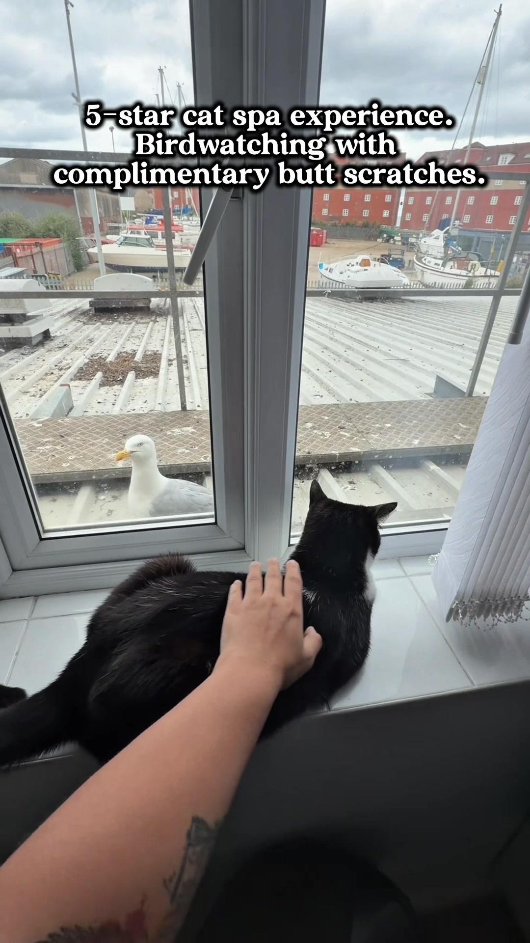 @slavic_cat_mum