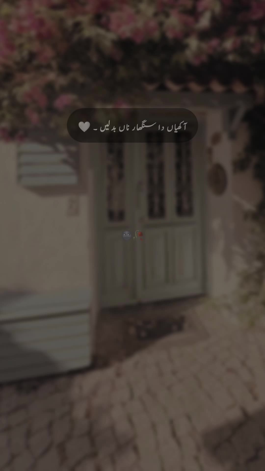 @𝐒 𝐚 𝐌 𝐢 🍂🫀
